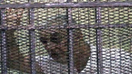 سامح فهمي في قفص الاتهام- أرشيفية